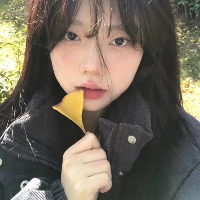 一支丁香花海报